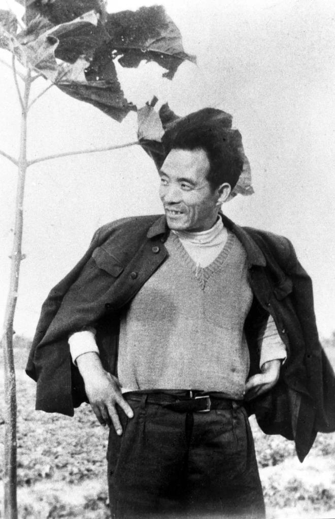 追光的你 | 总书记为何称焦裕禄精神是一盏明灯? 1963年的春天,焦裕禄身披上衣、双手叉腰,身旁是一株刚刚栽下的泡桐树苗。(资料图)