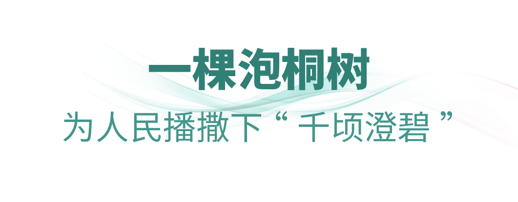 时政微观察丨从“树的故事”看正确政绩观