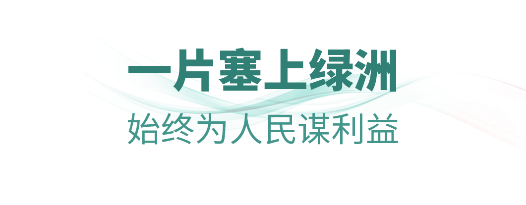 时政微观察丨从“树的故事”看正确政绩观