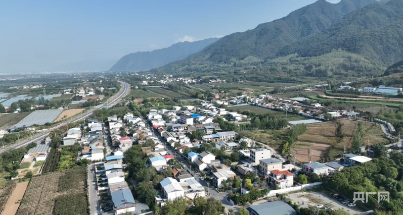 理响中国·质胜新时代丨让绿水青山生长出“绿色算法”