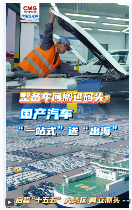 勇立潮头大湾区丨“一站式”送“出海”，国产汽车出口跑出“加速度”