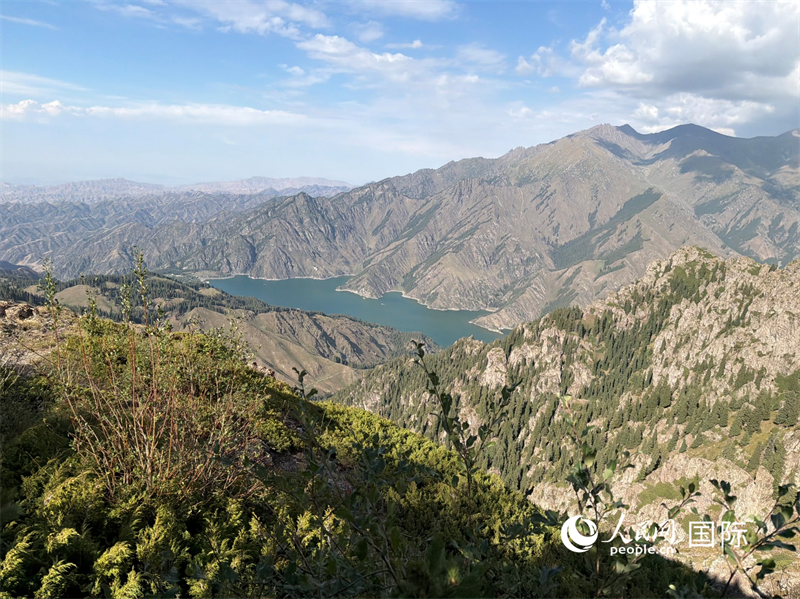 我的新疆日记·第五天|北庭与天山,在遗址与群山之间 新疆昌吉回族自治州天山天池航拍图。人民网 柯明可摄