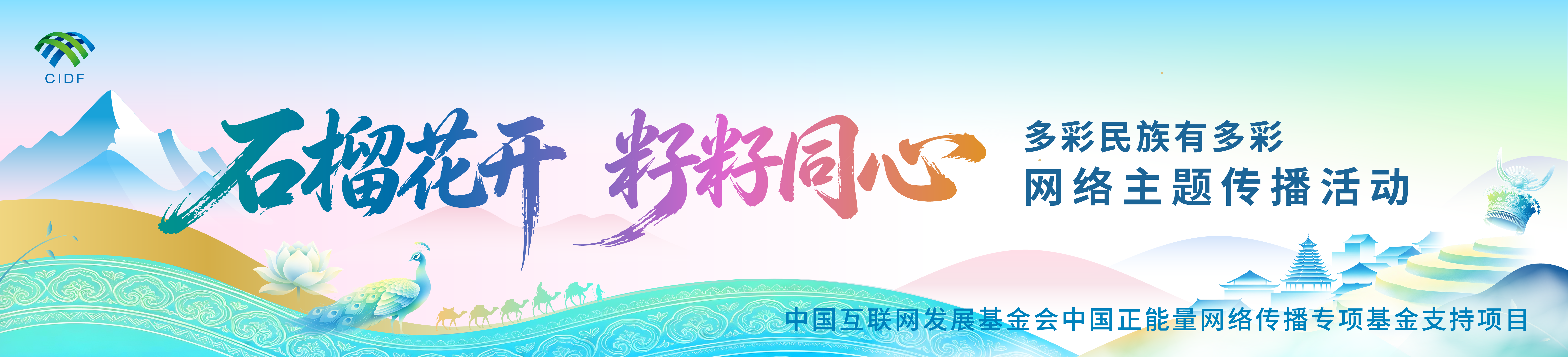 跨越四千公里,赴一场“石榴花开”的约定