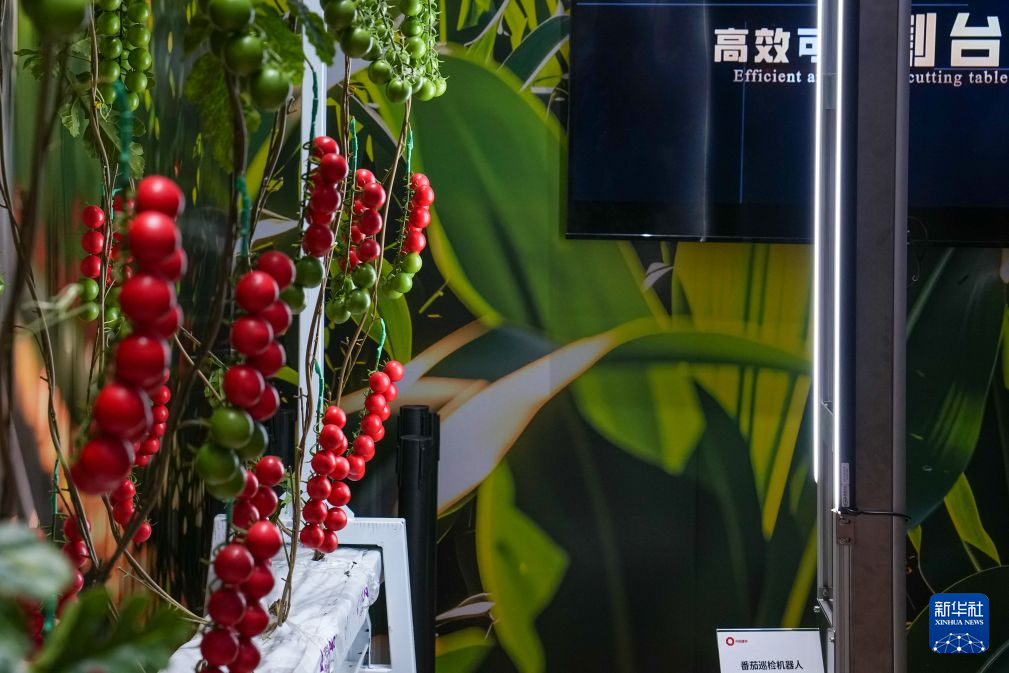 智慧共创:看机器人如何赋能生产
