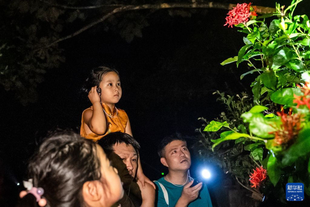 夜游热带雨林 解锁别样“生物课堂”