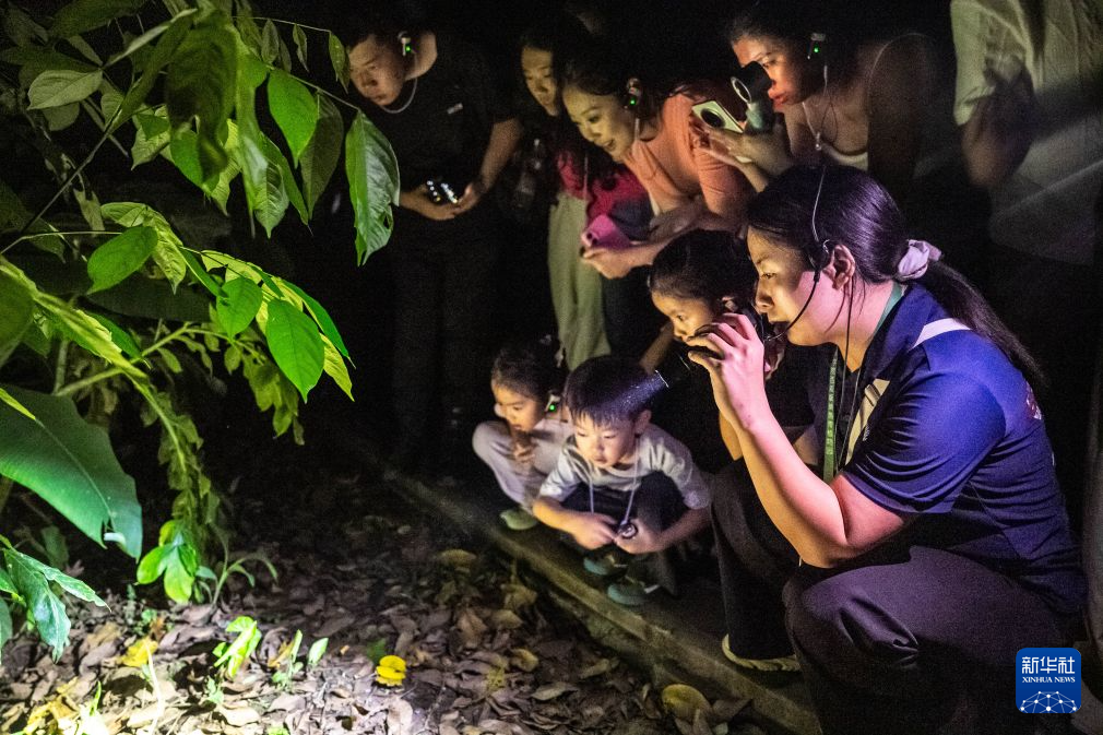 夜游热带雨林 解锁别样“生物课堂”