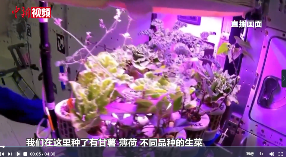 一堂“太空科学课”，让港澳学子在“天地对话”中播种航天梦想