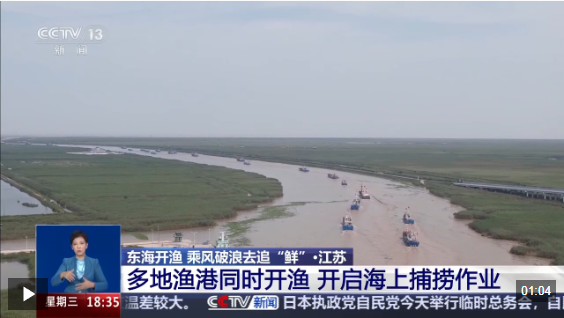 视频丨东海开渔 乘风破浪去追“鲜”