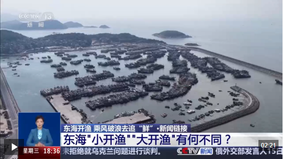 视频丨东海开渔 乘风破浪去追“鲜”