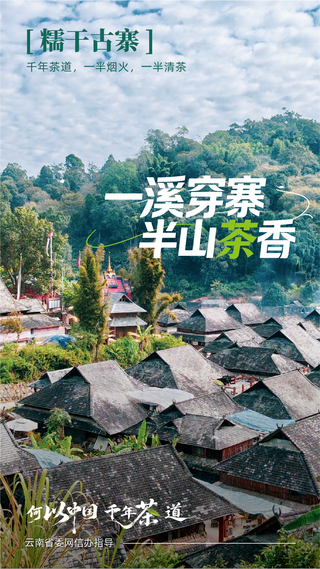 古寨新生 听景迈山人讲茶山新故事