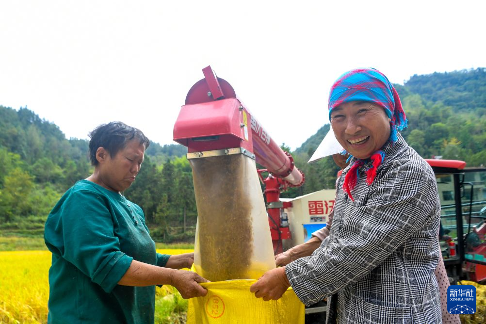 重庆黔江:武陵山区迎秋收