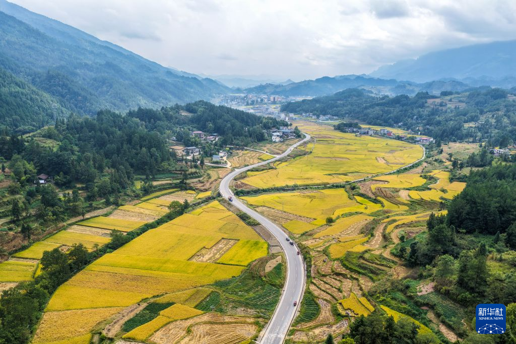 重庆黔江:武陵山区迎秋收