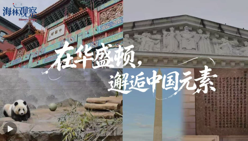 海林观察 | 在华盛顿，邂逅中国元素