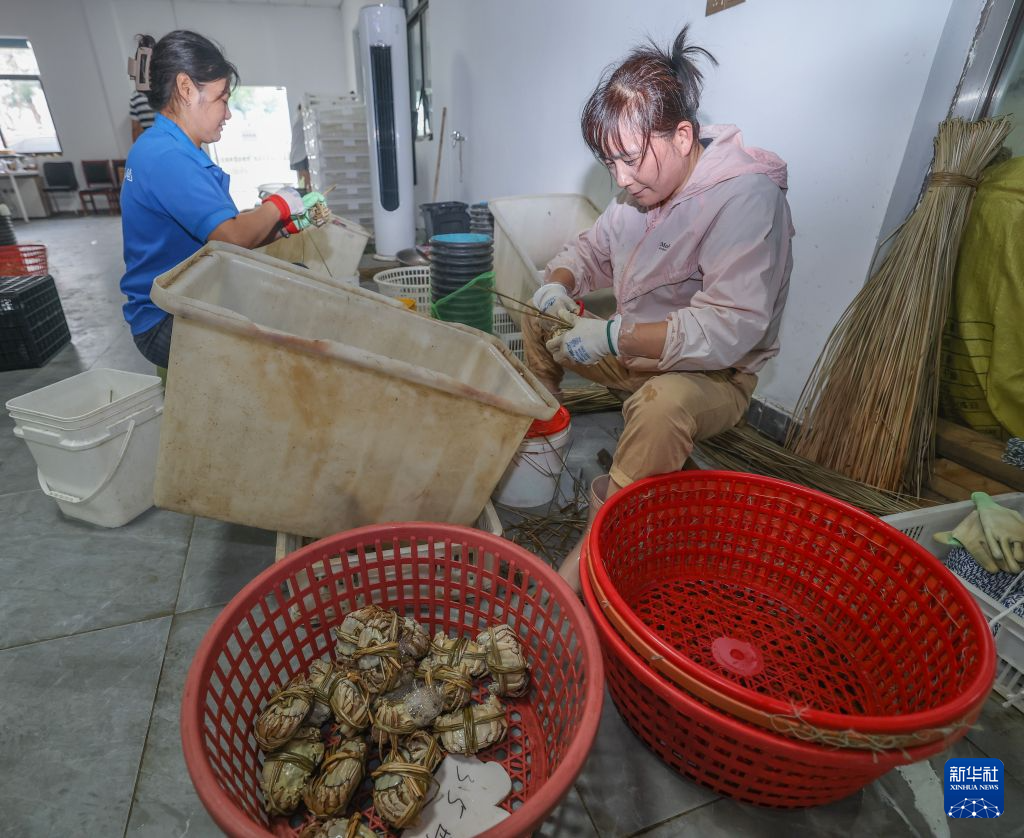 浙江湖州:太湖蟹迎来丰收季