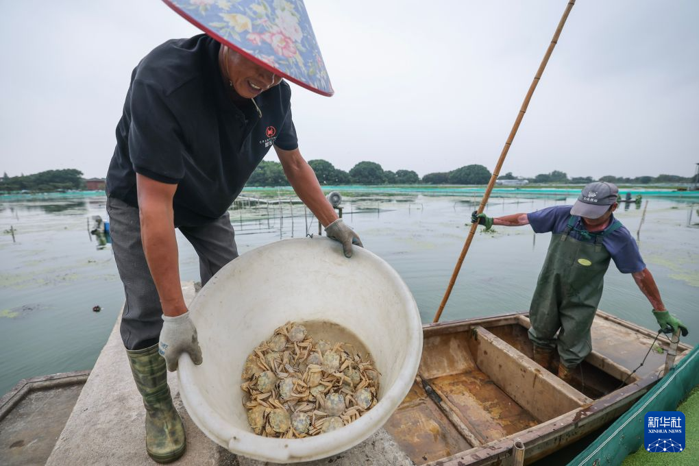 浙江湖州:太湖蟹迎来丰收季