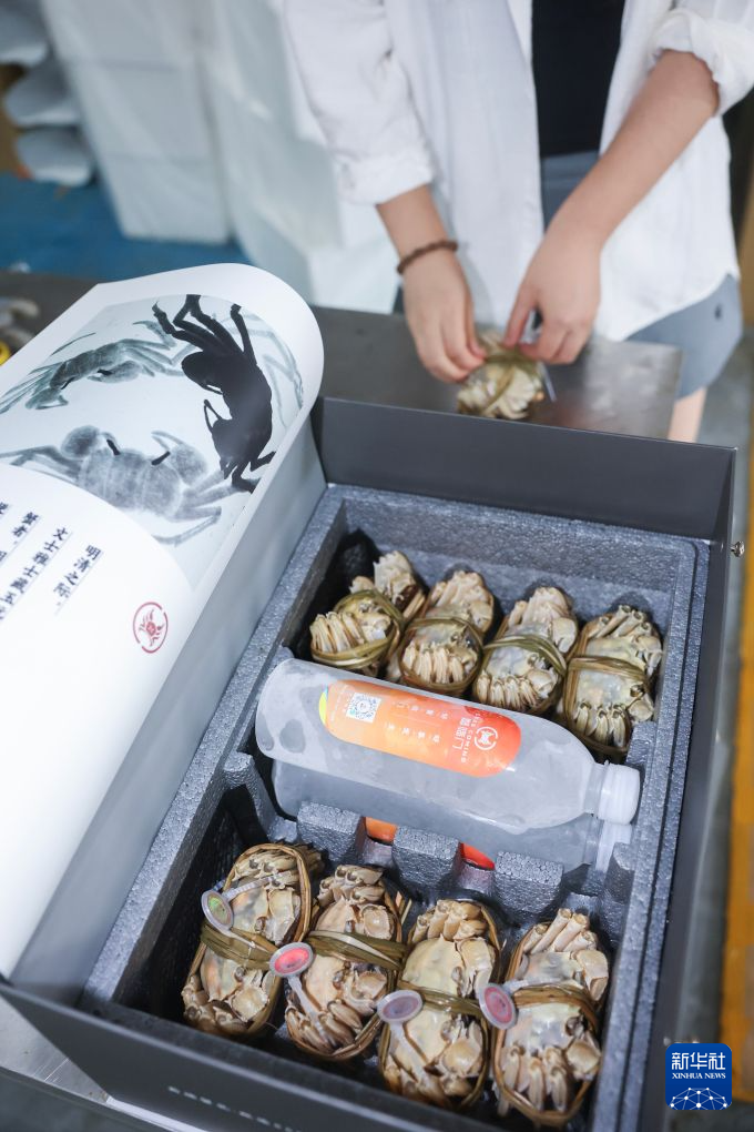 浙江湖州:太湖蟹迎来丰收季