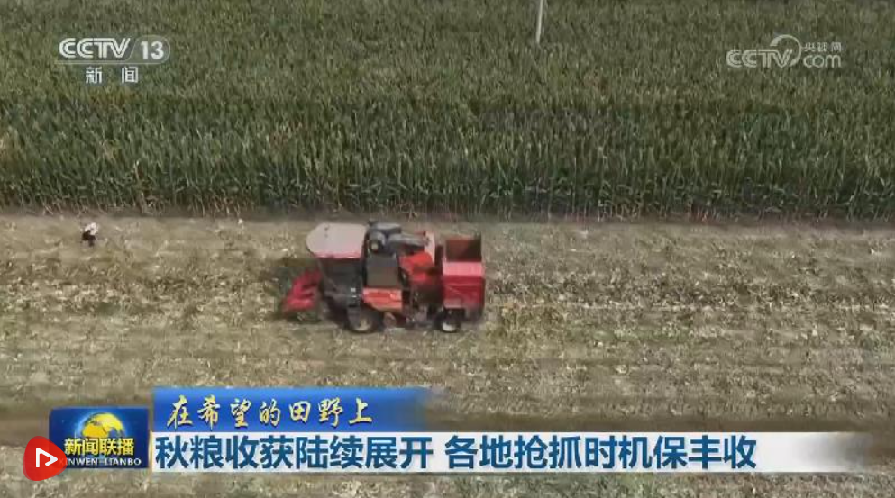 【在希望的田野上】秋粮收获陆续展开 各地抢抓时机保丰收