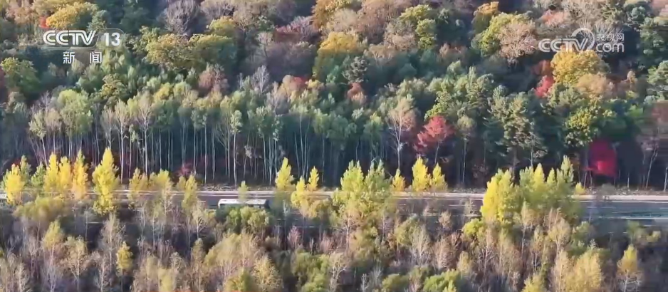冷空气继续影响我国中东部 这份假期穿衣指南请收好