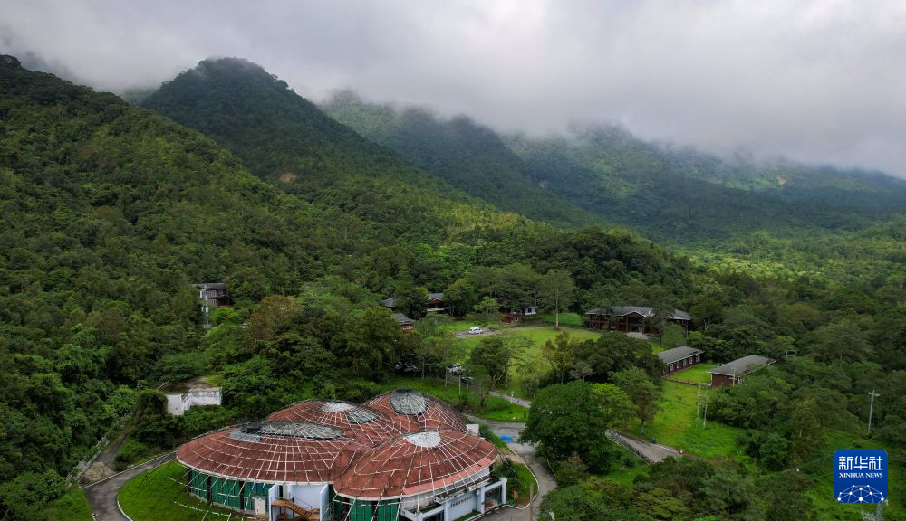 海南:探访鹦哥嘴自然生态体验区