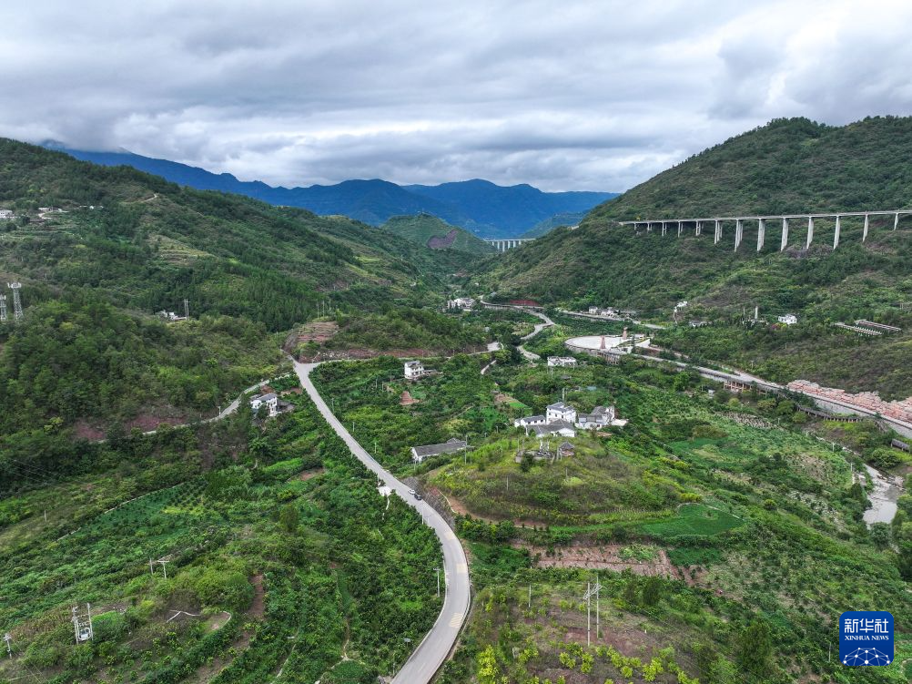 赓续长征精神 奋进复兴征程丨一棵“红军柚”的甜蜜振兴路