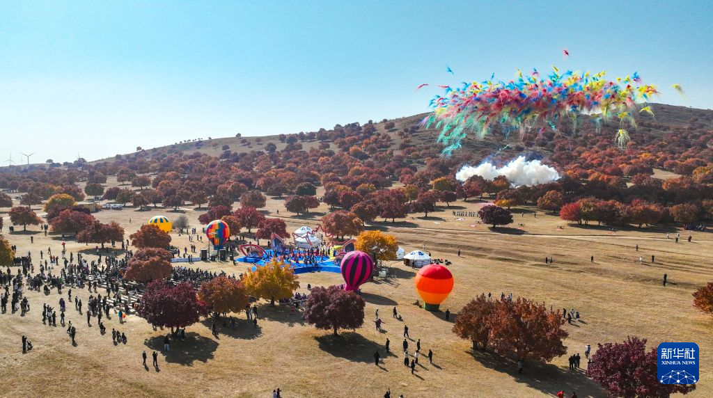 2026兴安盟五角枫文化旅游季启幕