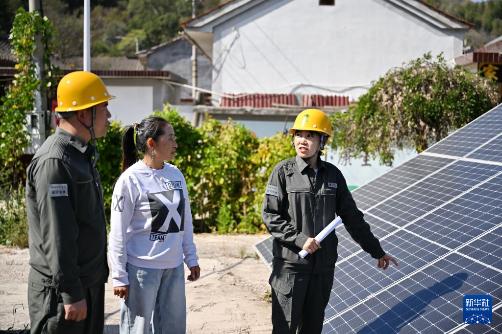 微电网管理员:深山光明守护者
