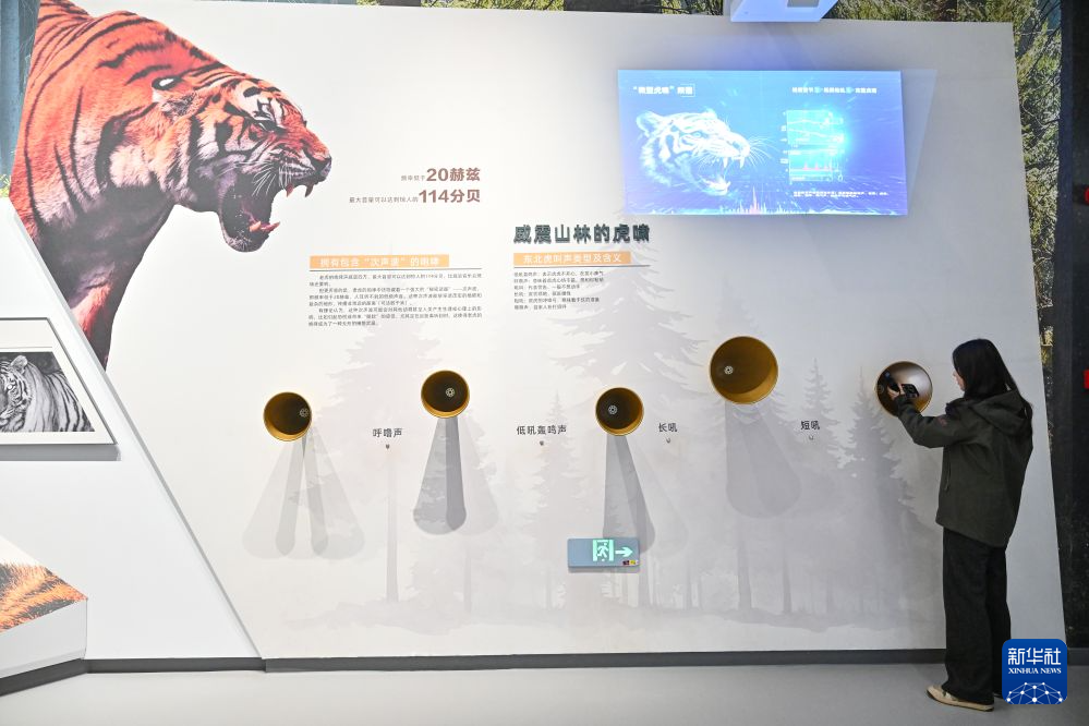 美丽中国行丨探访东北虎豹国家公园东宁科普宣教中心