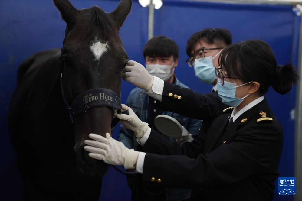 北京海关护航国际赛马参赛