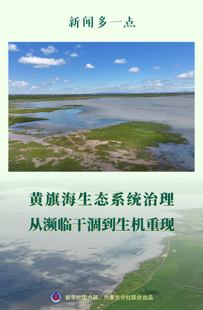 新闻多一点丨黄旗海生态系统治理 从濒临干涸到生机重现