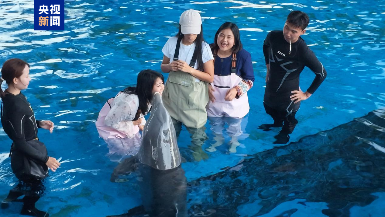 从文化传承到生态保护 东盟记者探访海南守护实践之旅