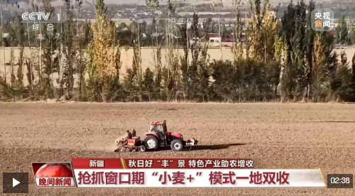 视频丨全国秋粮大面积收获进行时！各地特色产业助农增收