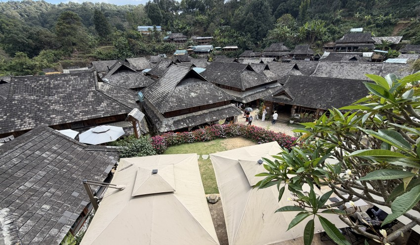 千年茶山告诉你,民族团结是什么样子