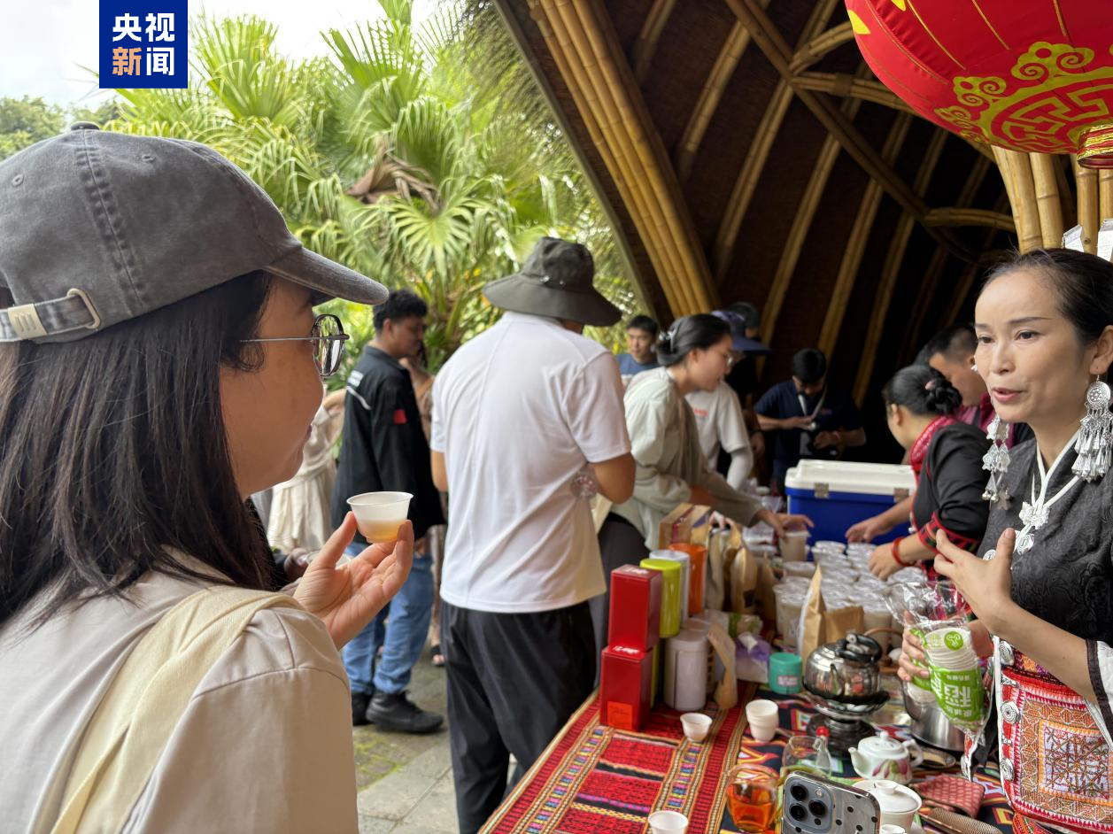 从文化传承到生态保护 东盟记者探访海南守护实践之旅
