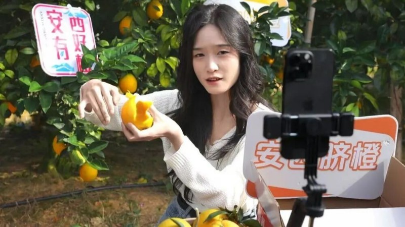 【九秩回响 星火燎原】微视频丨红土地结金果,看一颗脐橙的致富之旅 【九秩回响 星火燎原】微视频丨红土地结金果,看一颗脐橙的致富之旅