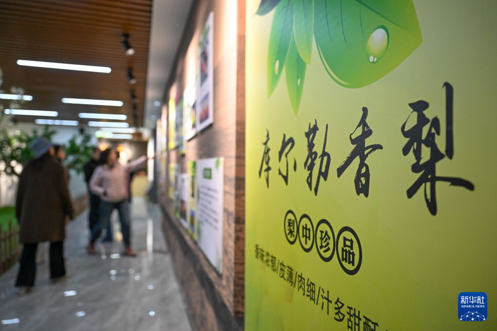 林长制赋能全域治理 新疆厚植城乡绿色生态底色